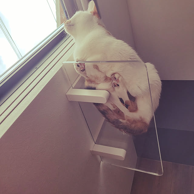 hiroさんの実例写真