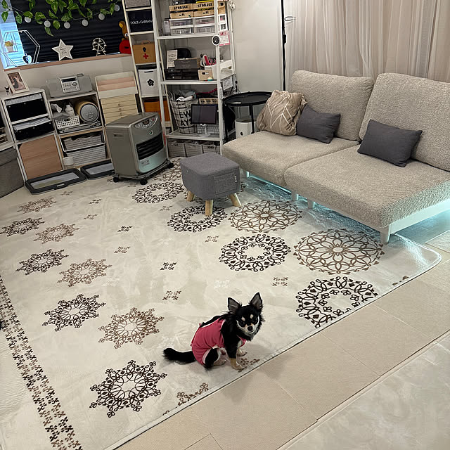 meguさんの実例写真