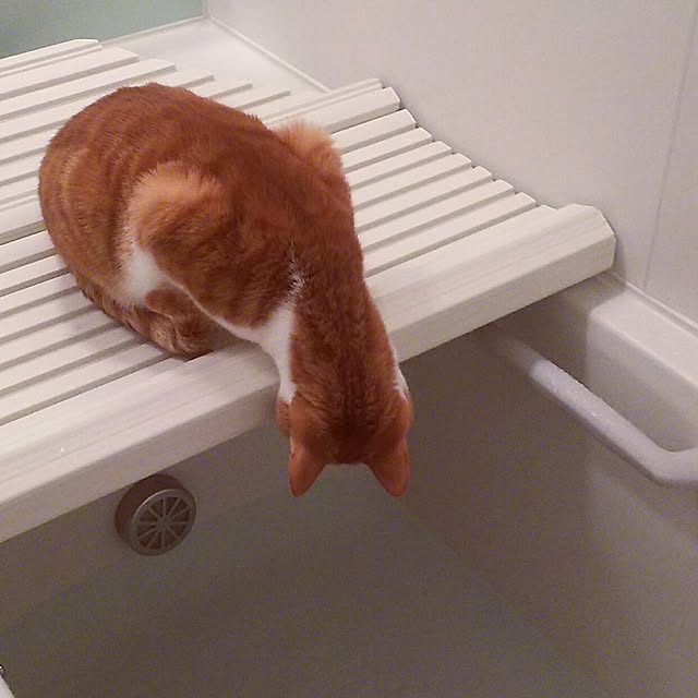 tamacharouさんの実例写真