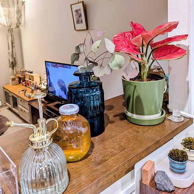 mi-saさんの部屋