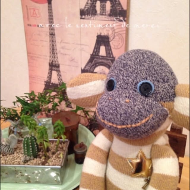 rinrinさんの実例写真
