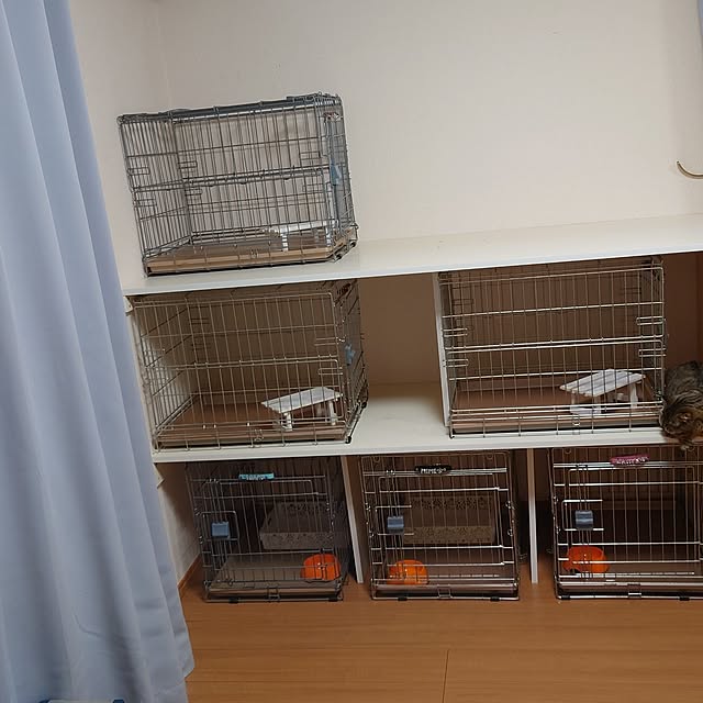 noguriさんの部屋
