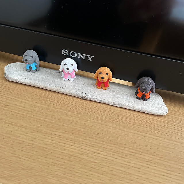 Chipさんの実例写真