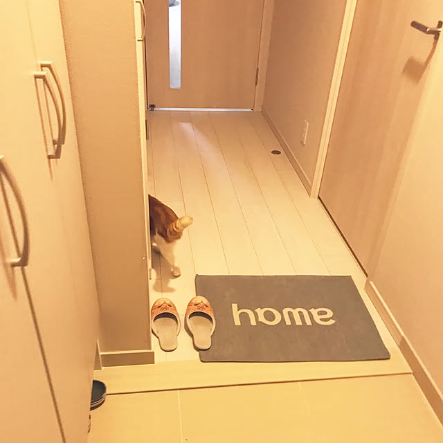 3122さんの実例写真