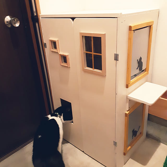 kazumiさんの実例写真