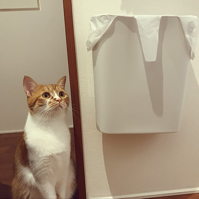 Kobamiさんの実例写真