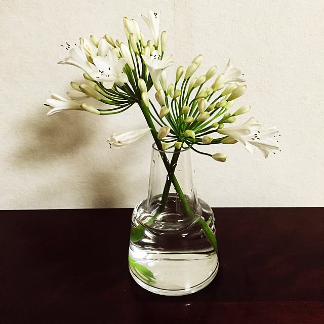 maru_a_gogoさんの実例写真