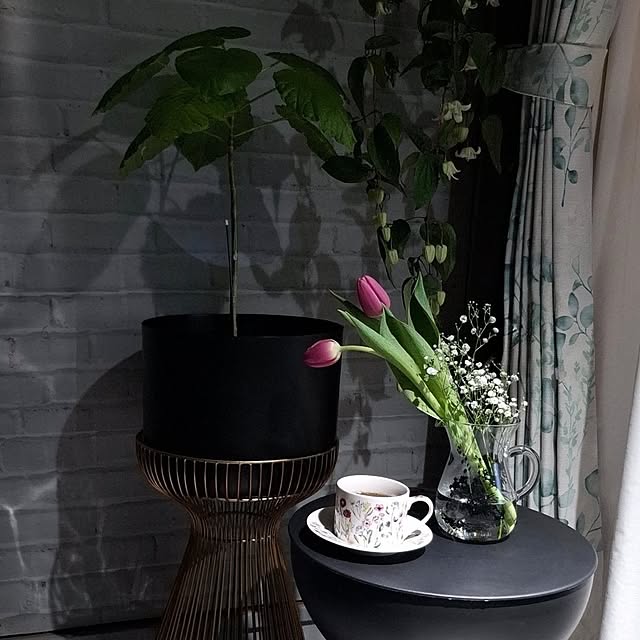 noaさんのお部屋の写真