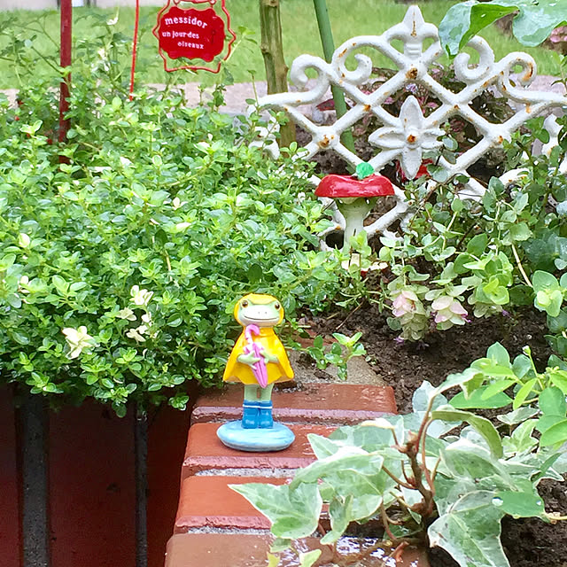 kurumeruさんの実例写真