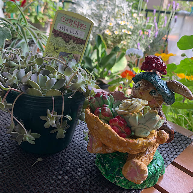 Aqettyさんの部屋