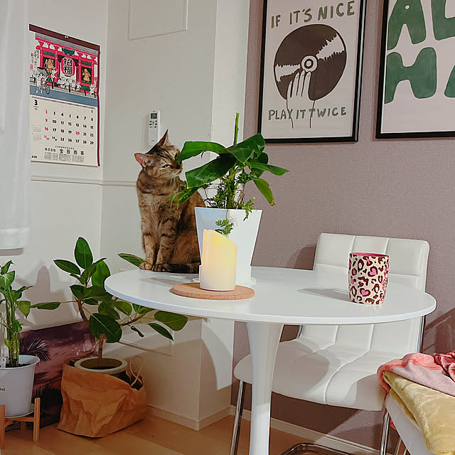 cocoさんの部屋