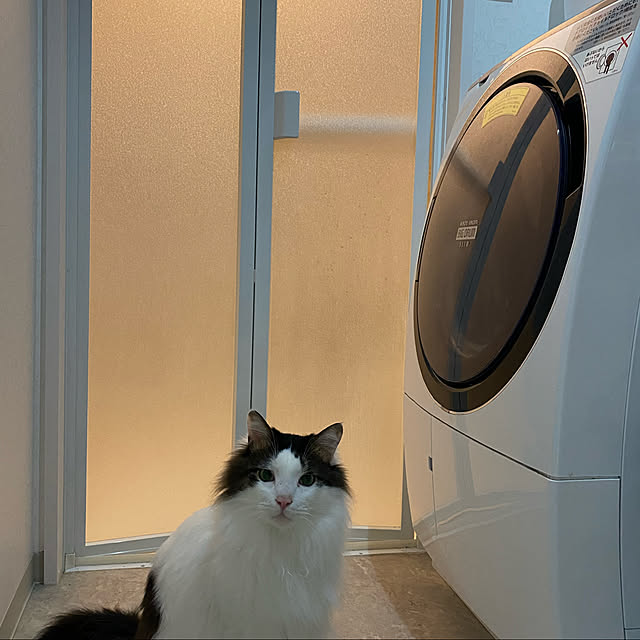 nam1o3oさんの実例写真