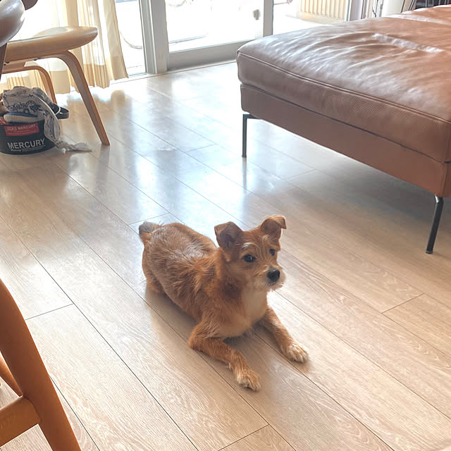 Yoheiさんの部屋