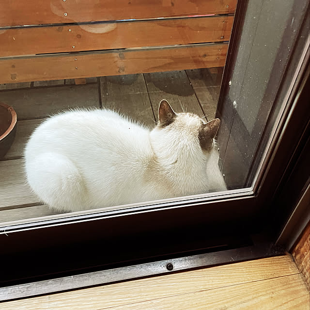 remonさんの実例写真