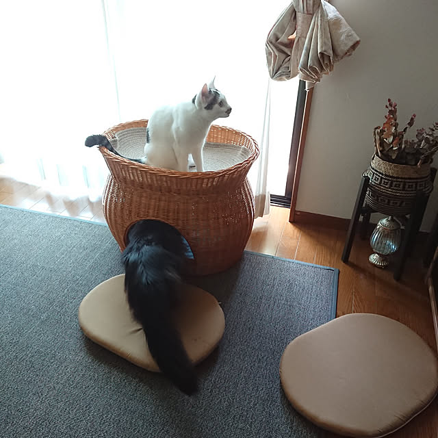 kumiさんの実例写真