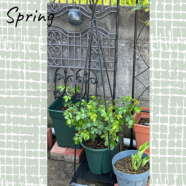 CoCo0617さんの部屋