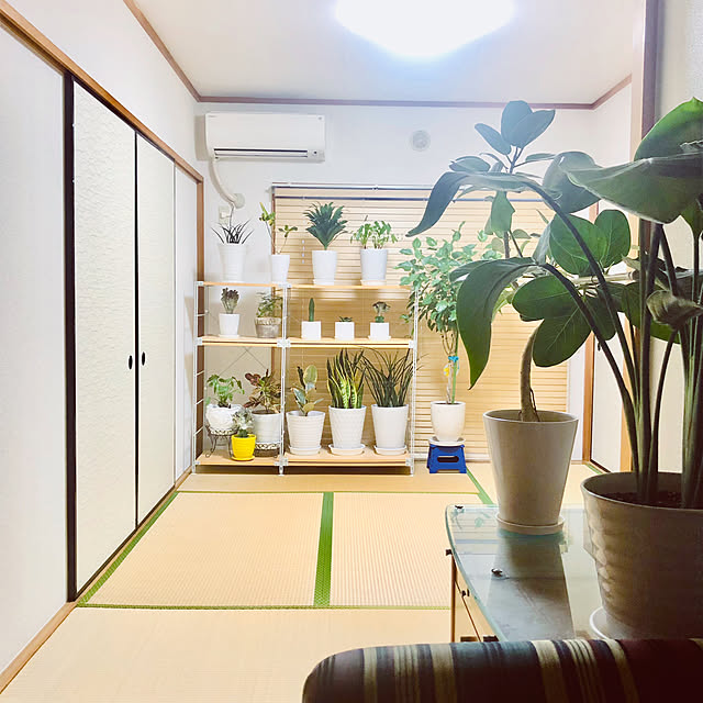 hanachanさんの部屋
