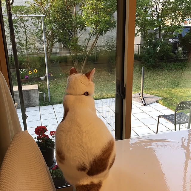 keeeko0124さんの実例写真