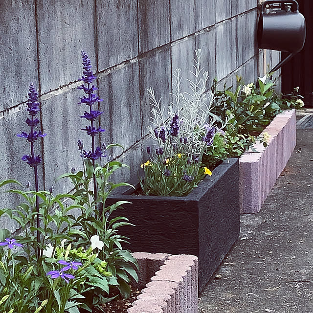 chacoさんの実例写真