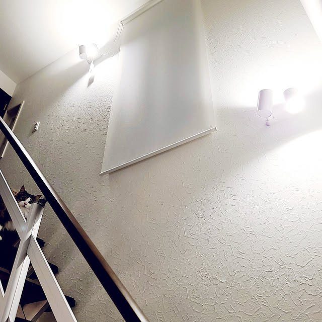 akiko6193さんの実例写真