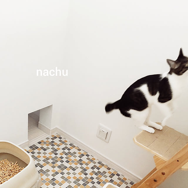 nachuさんの実例写真