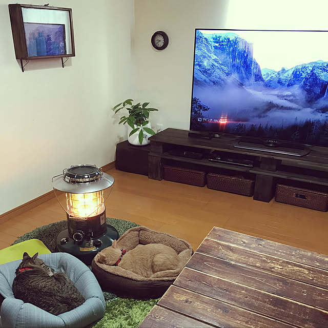 mikan161さんの実例写真