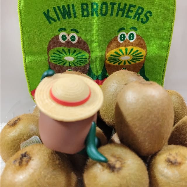 katさんの実例写真