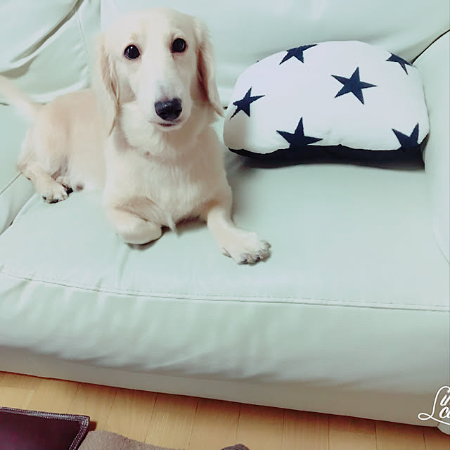 tmさんの実例写真