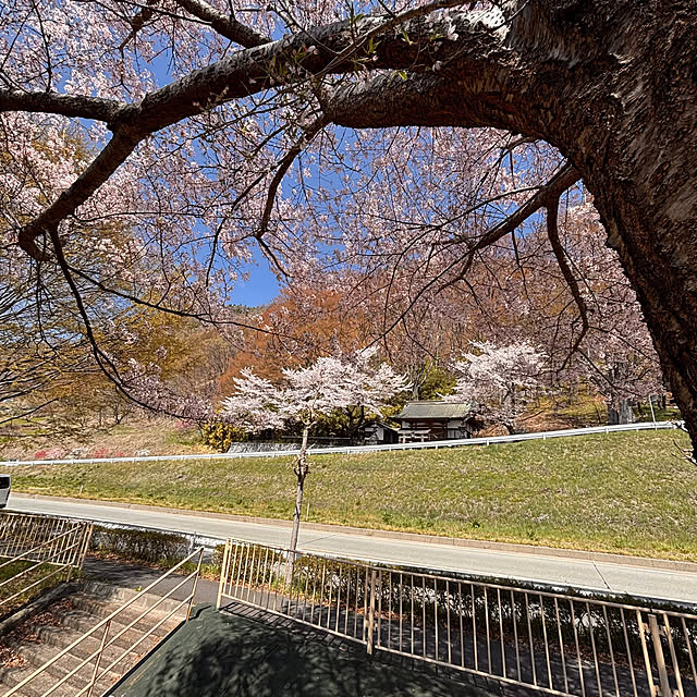 mamichopさんの部屋