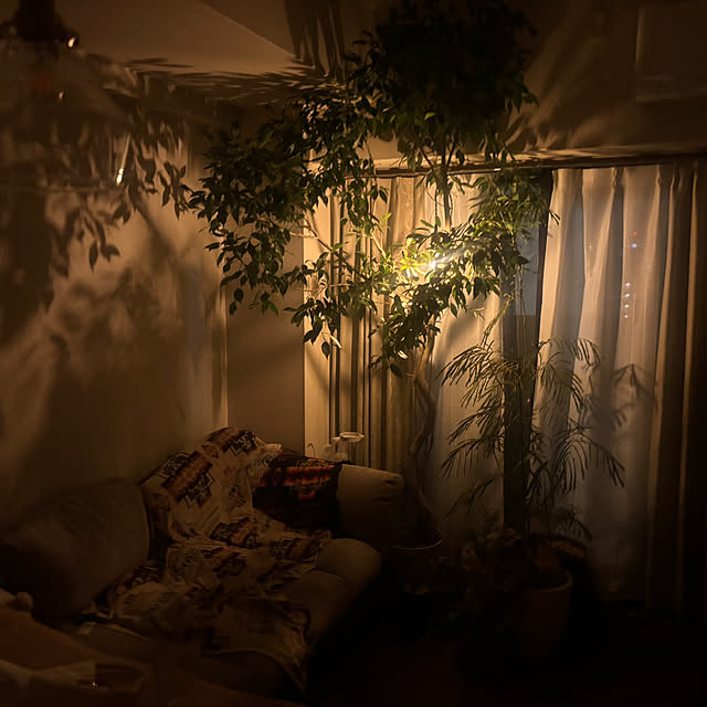 R-Toneさんの部屋