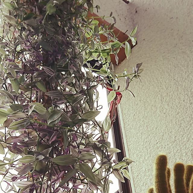 0103_eriさんの実例写真