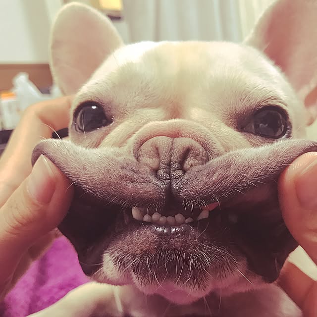 wjs1028さんの実例写真
