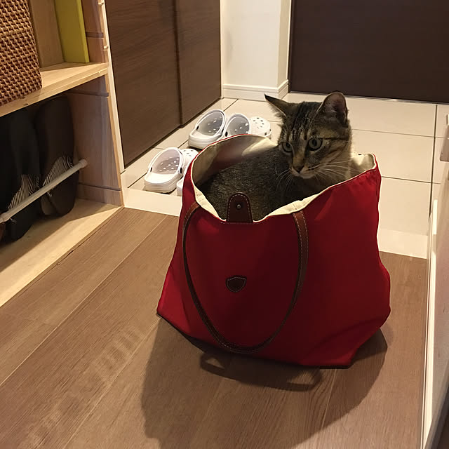 mikomaruさんの実例写真