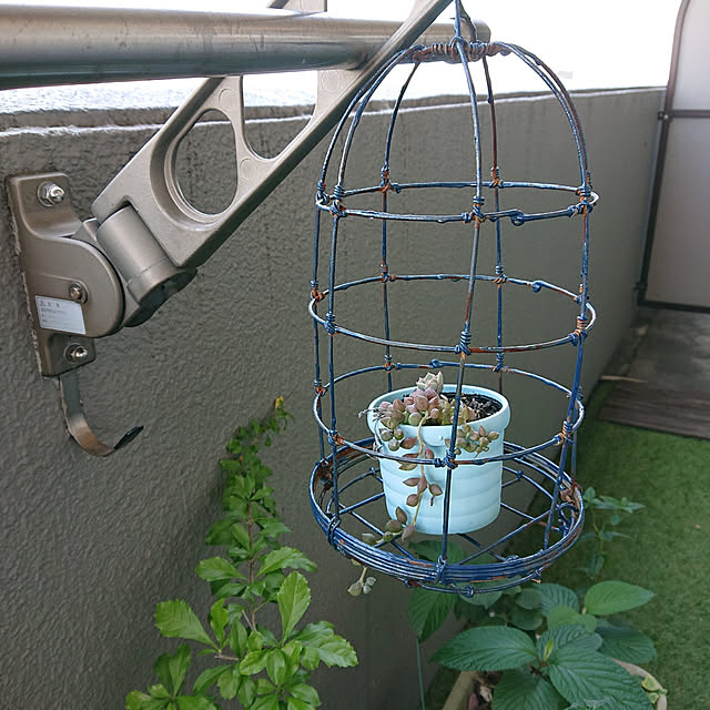kakkaさんの実例写真