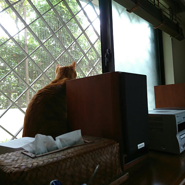 okyosan101さんの実例写真
