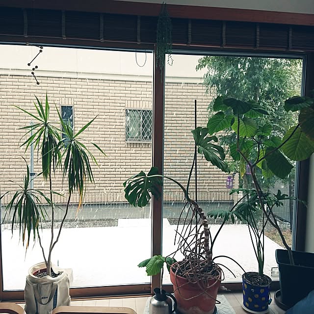 urchinさんの部屋