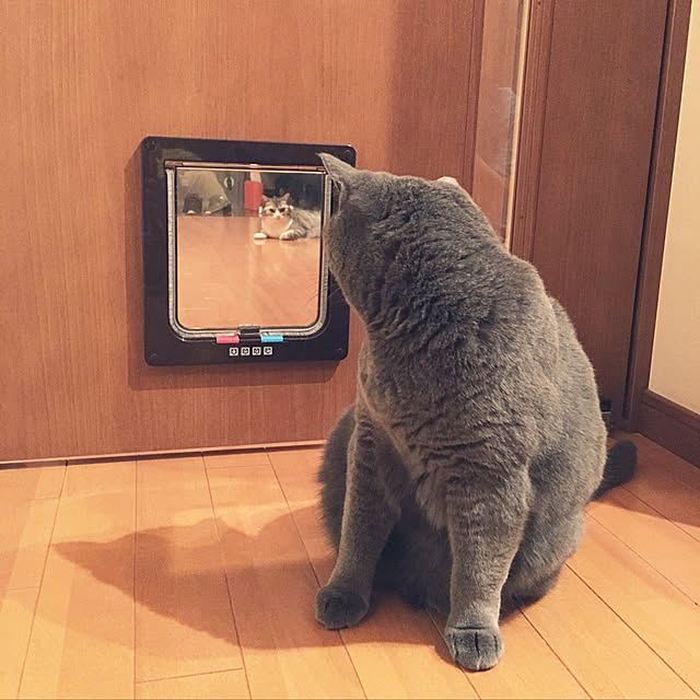 Shojiさんの実例写真