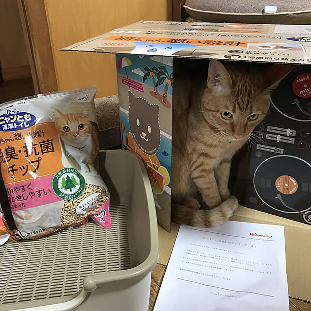 misamisa1113さんの実例写真