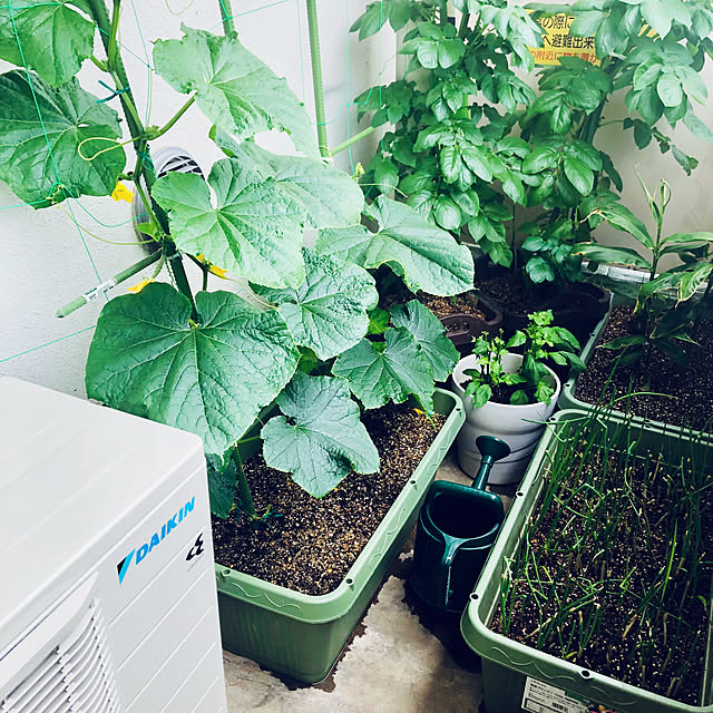 hanachanさんの部屋