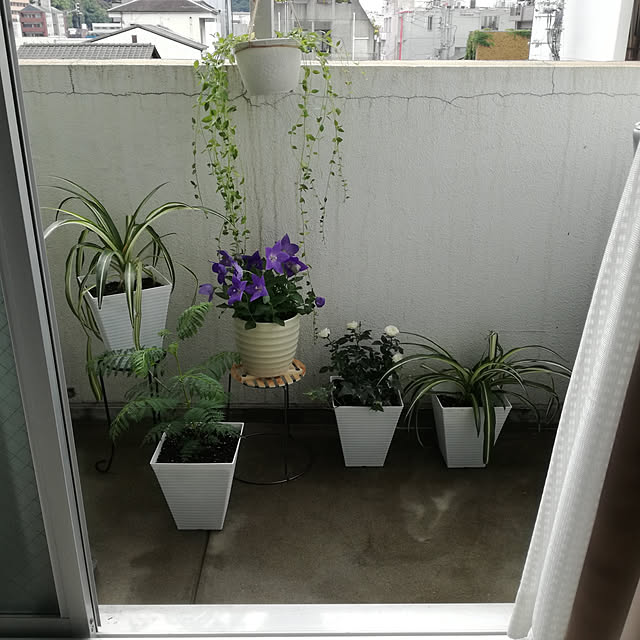 oojirouさんの実例写真
