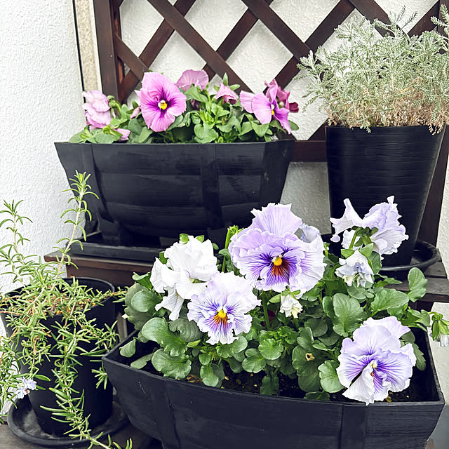 Mam...さんの実例写真