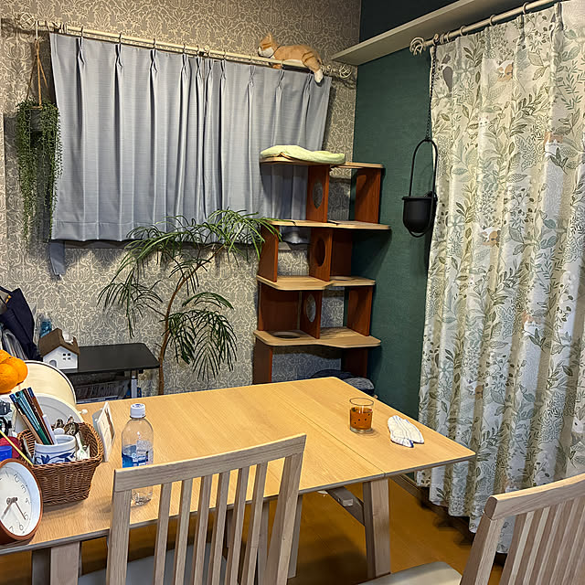 nekohagu2022さんの実例写真