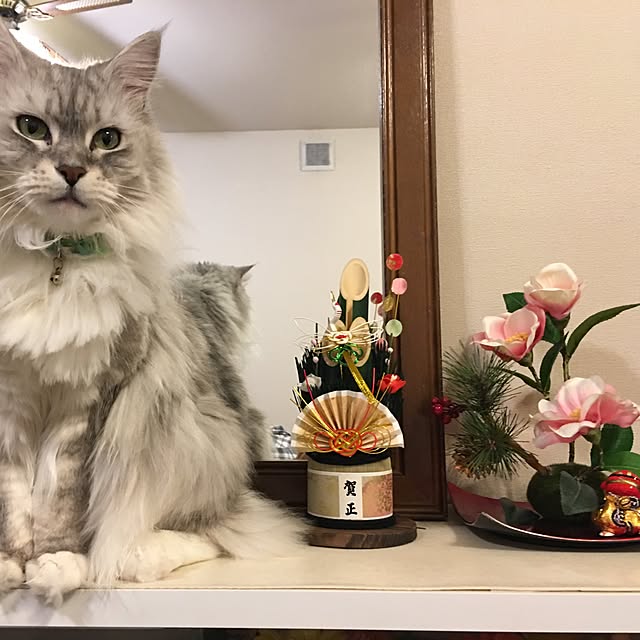 Chitoseさんの実例写真