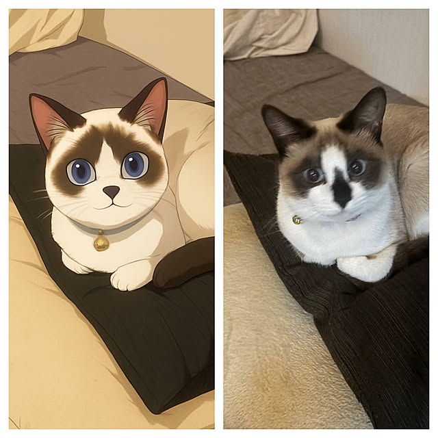 REI.DIYさんの実例写真