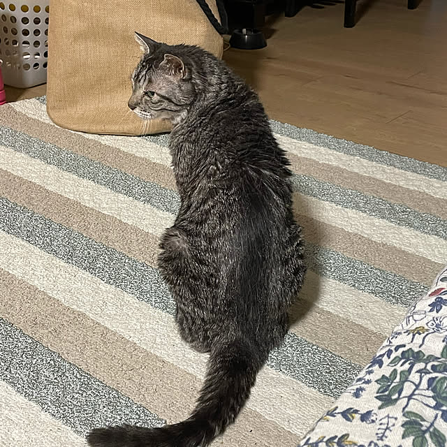 sachiさんの実例写真
