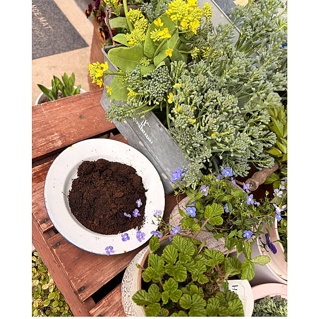 cotaさんの実例写真