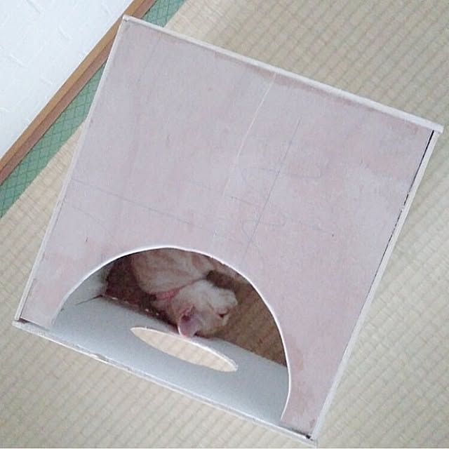 heart.emiemi57.whiteさんの部屋