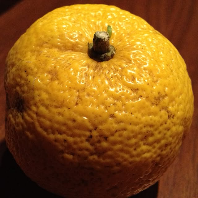 nuinuiさんの実例写真