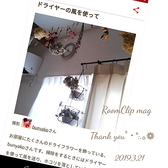 yukkoさんの実例写真