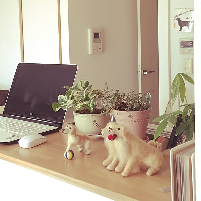 Rose0930さんの実例写真